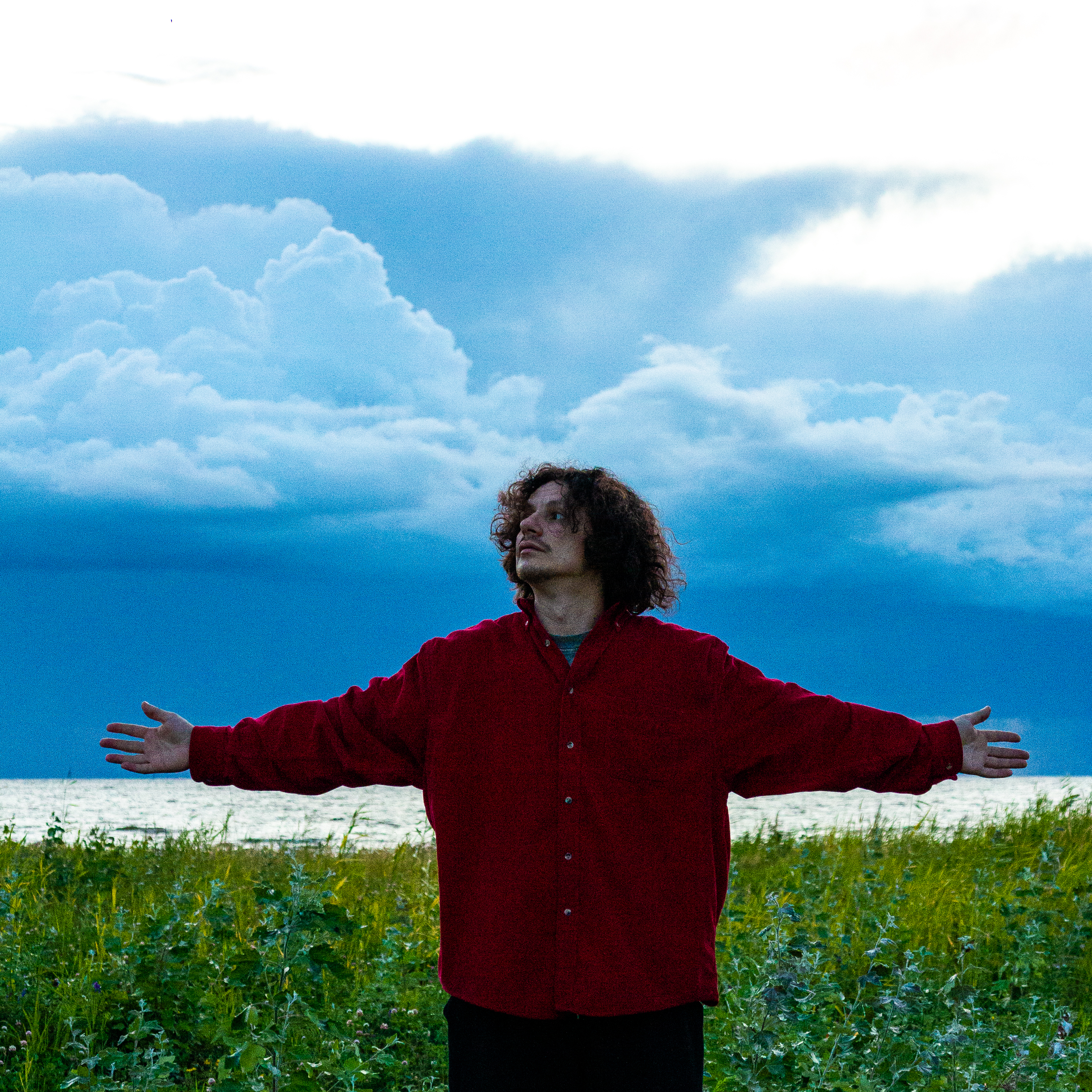 cover for track Лес of artist DenDerty