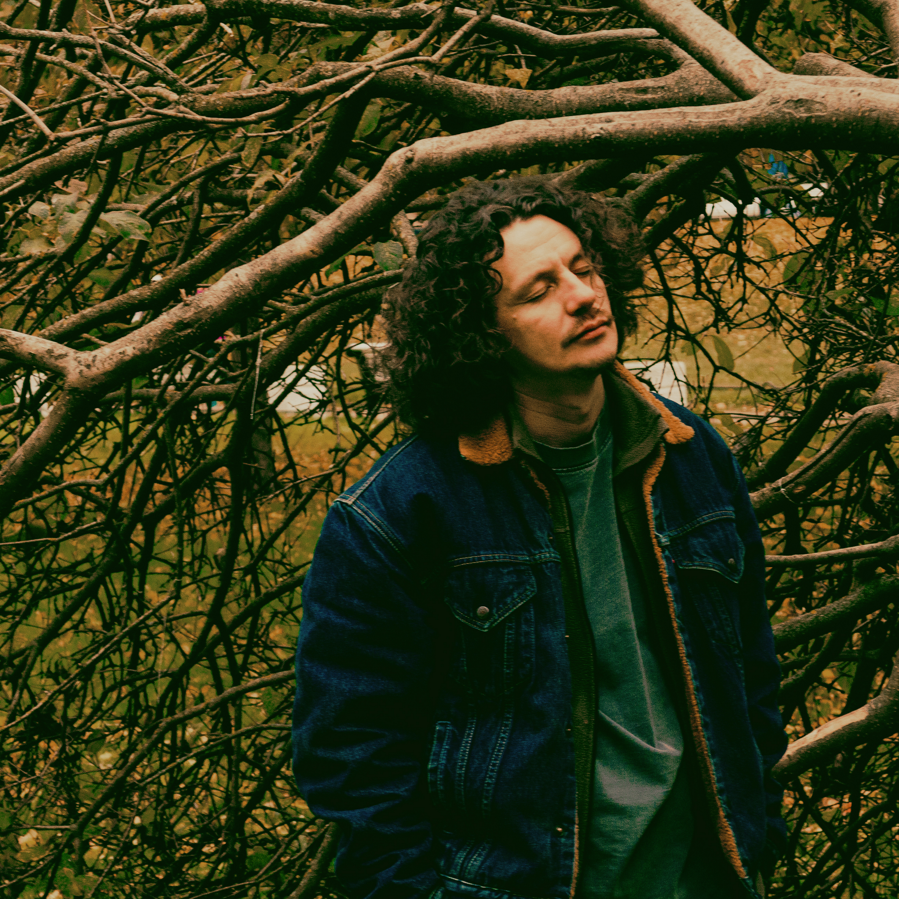 cover for track Коробка из под осени of artist DenDerty