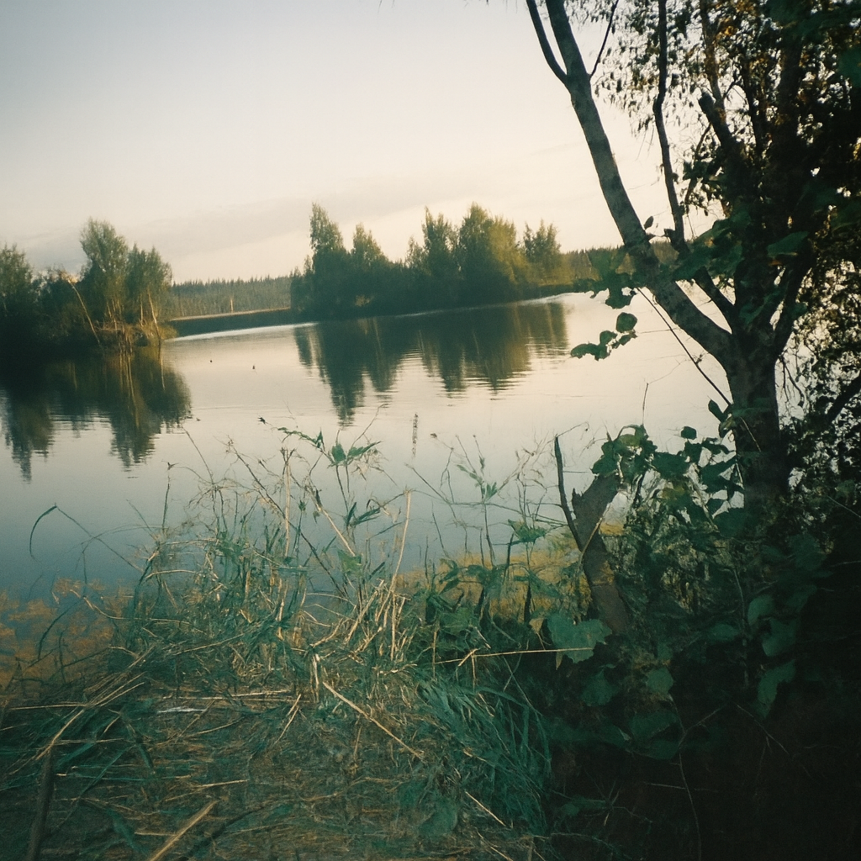 cover for track Ответы твои of artist ETERNI